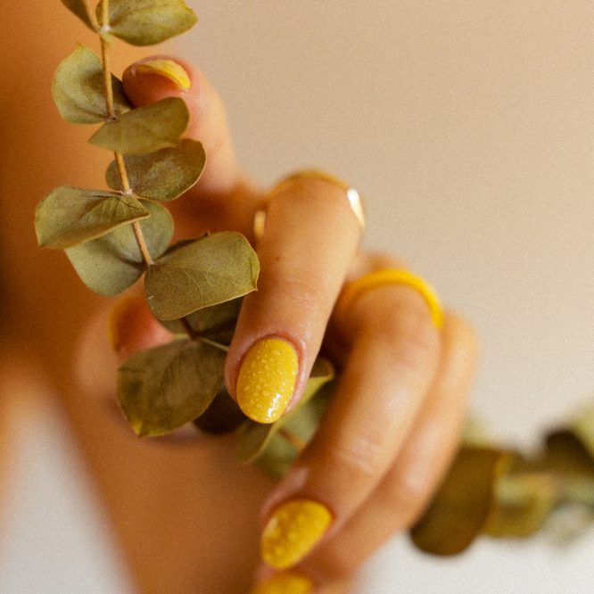 Fragrance-Free Body Lotion