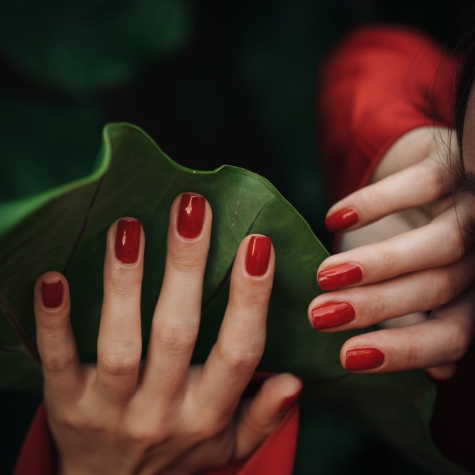 Coconut & Jojoba Body Wash